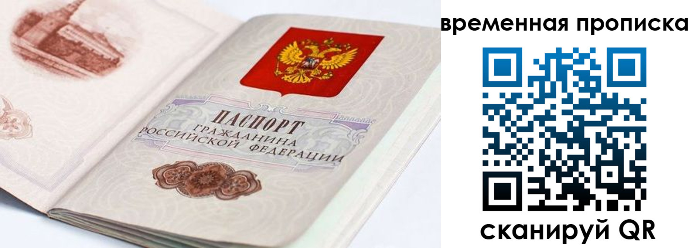 прописка 2025 в Звенигово